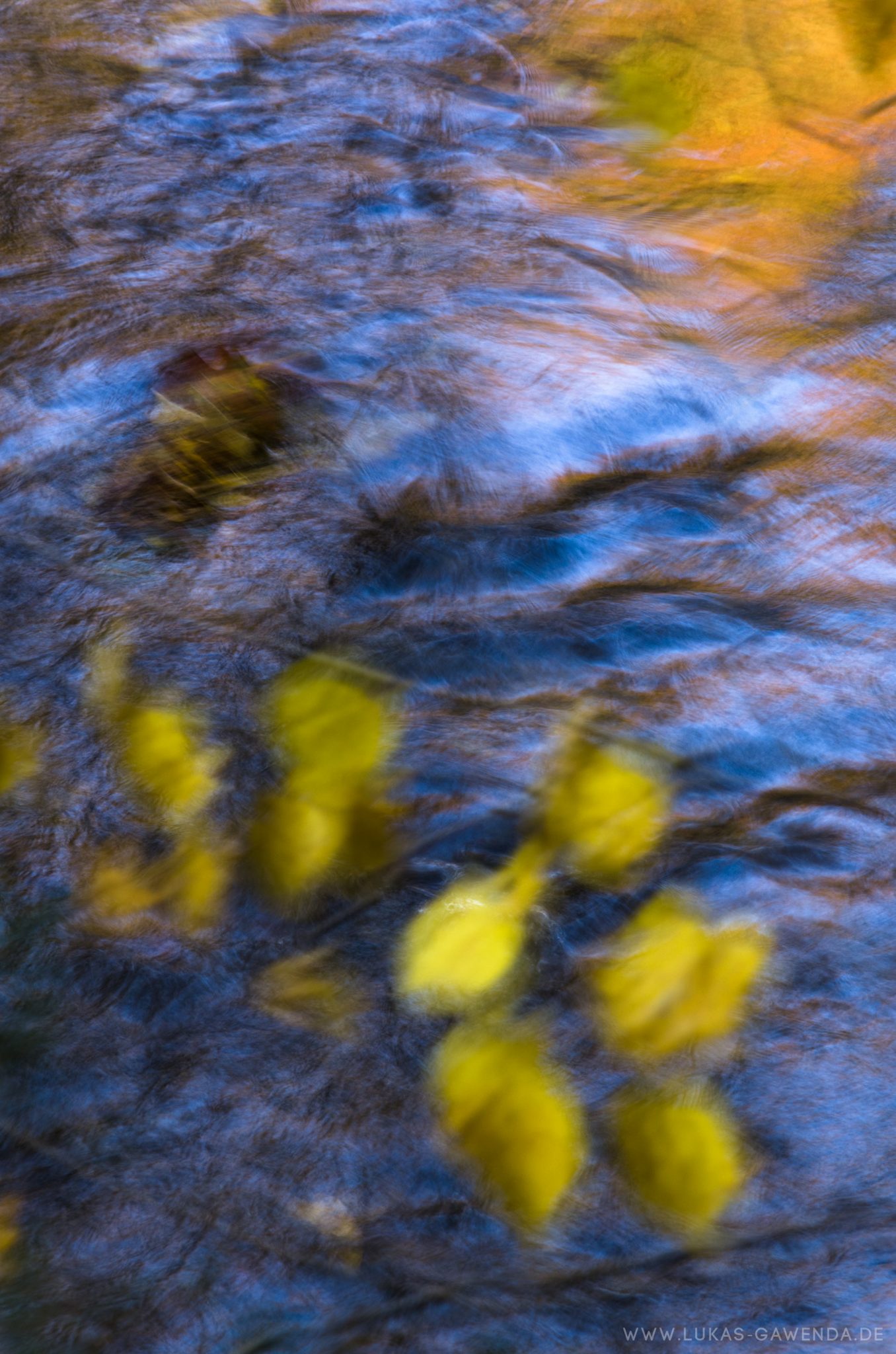 Abstrakte Naturfotografie